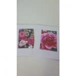 Assorted Floral Cards