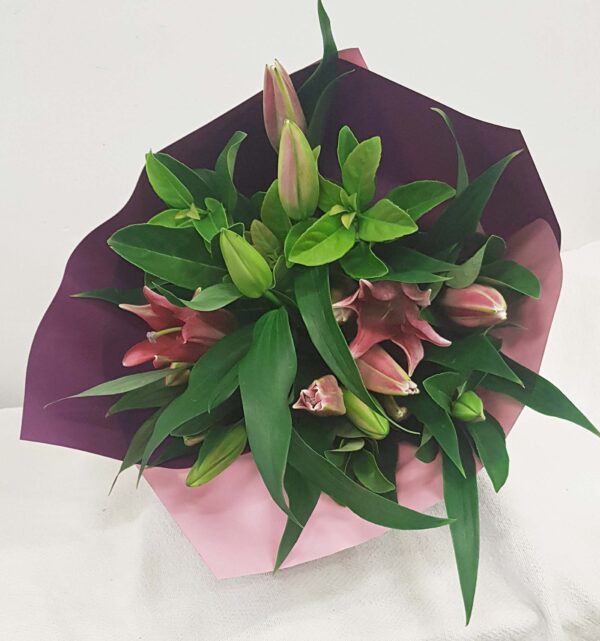 Pink Cosmopoliton - Pink Oriental Lilys