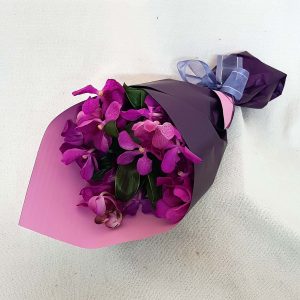 Purple Hooter - Vanda Orchids