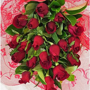 20 40cm red roses
